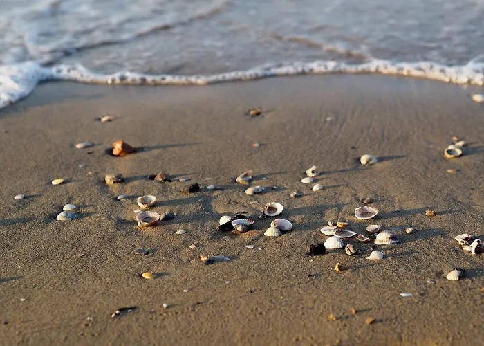 Διαμέρισμα Peaceful With Garden 500mt From The Sea