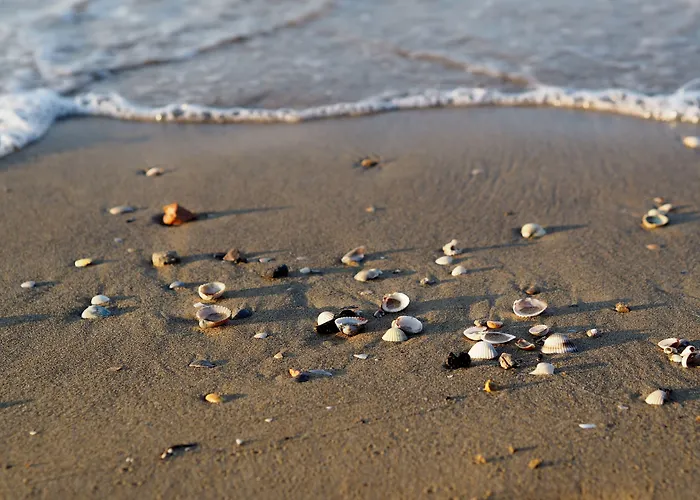 Διαμέρισμα Peaceful With Garden 500mt From The Sea